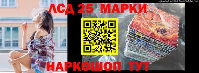 спиды Кимры
