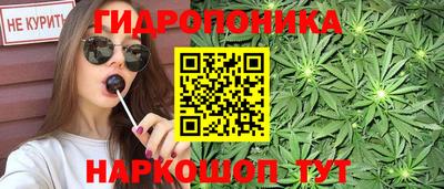 спиды Кимры