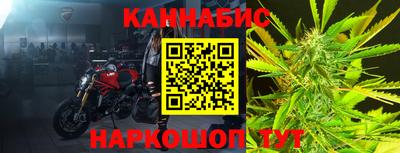 jwh Кингисепп