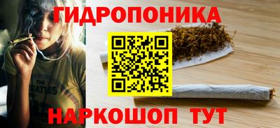 спиды Кимры