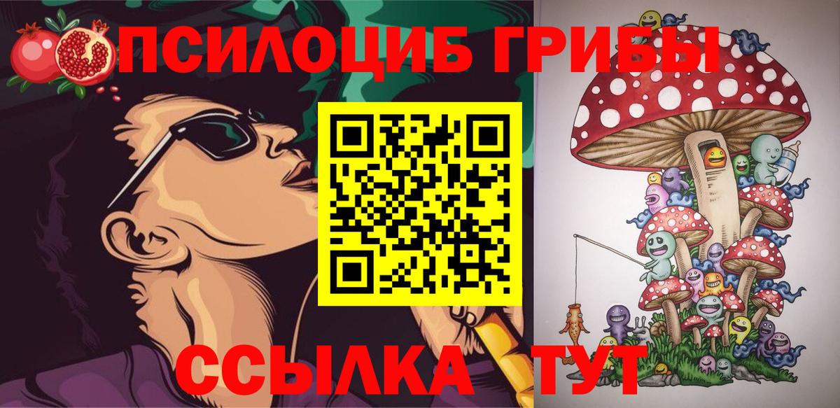 Галлюциногенные грибы прущие грибы Салехард