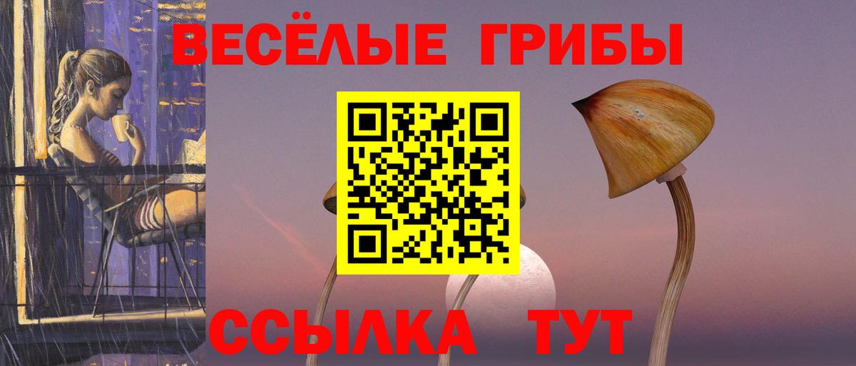 Салехард  Псилоцибиновые грибы прущие грибы  купить наркоту  Вход с VPN 